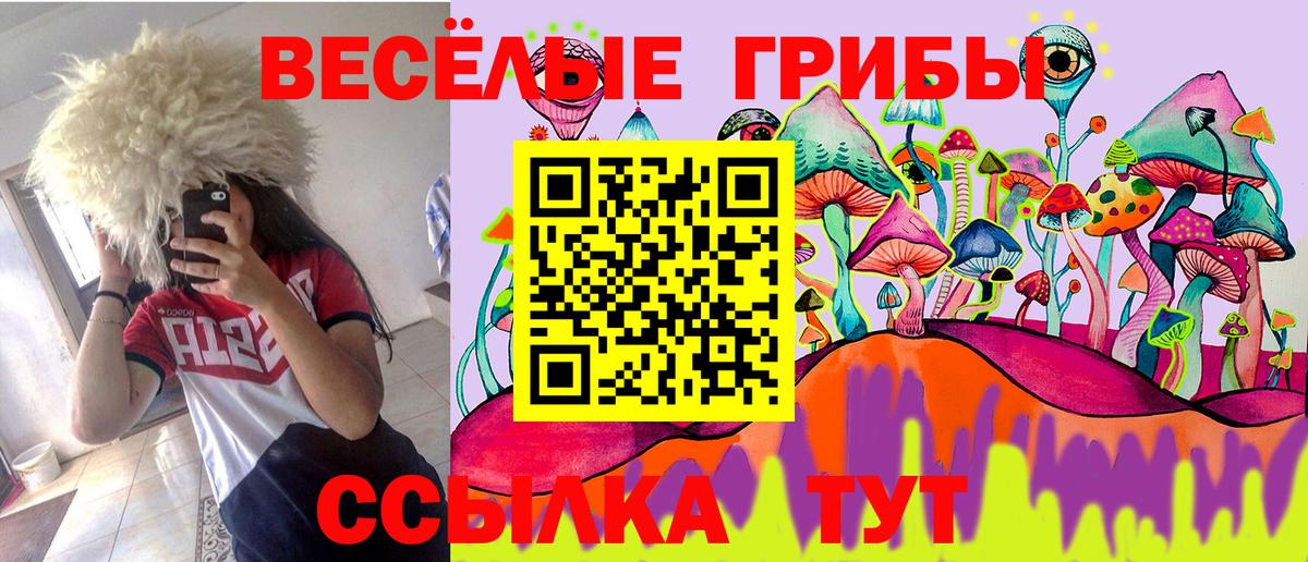 Псилоцибиновые грибы ЛСД Губкинский