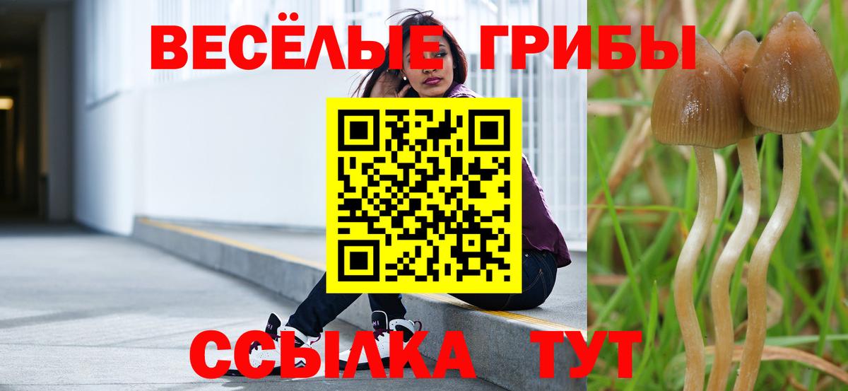 Псилоцибиновые грибы мухоморы  Вход с VPN  цены наркотик  Губкинский 