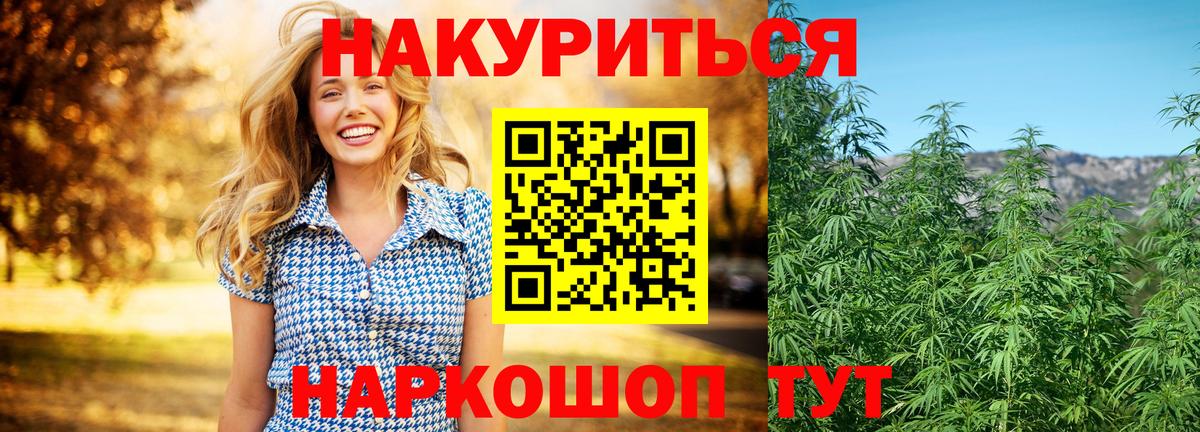 Конопля Bruce Banner Губкинский